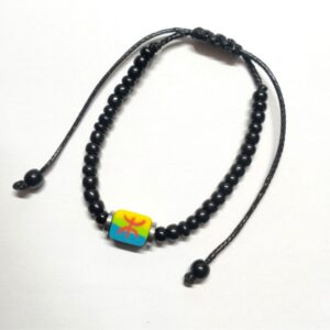 v7s – 001 palestine